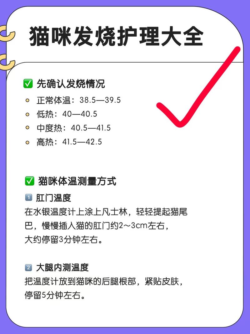猫咪多少度算发烧_猫咪发烧什么症状-第1张图片-后鲨宠物 猫咪多少度算发烧_猫咪发烧什么症状-第1张图片-后鲨宠物