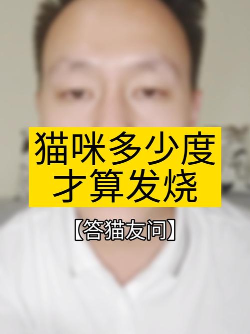 猫咪多少度算发烧_猫咪发烧什么症状-第3张图片-后鲨宠物 猫咪多少度算发烧_猫咪发烧什么症状-第3张图片-后鲨宠物