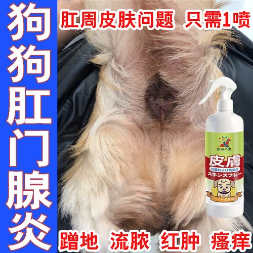 狗狗肛门发炎用什么药_狗狗肛门发炎是怎么回事?-第3张图片-后鲨宠物 狗狗肛门发炎用什么药_狗狗肛门发炎是怎么回事?-第3张图片-后鲨宠物