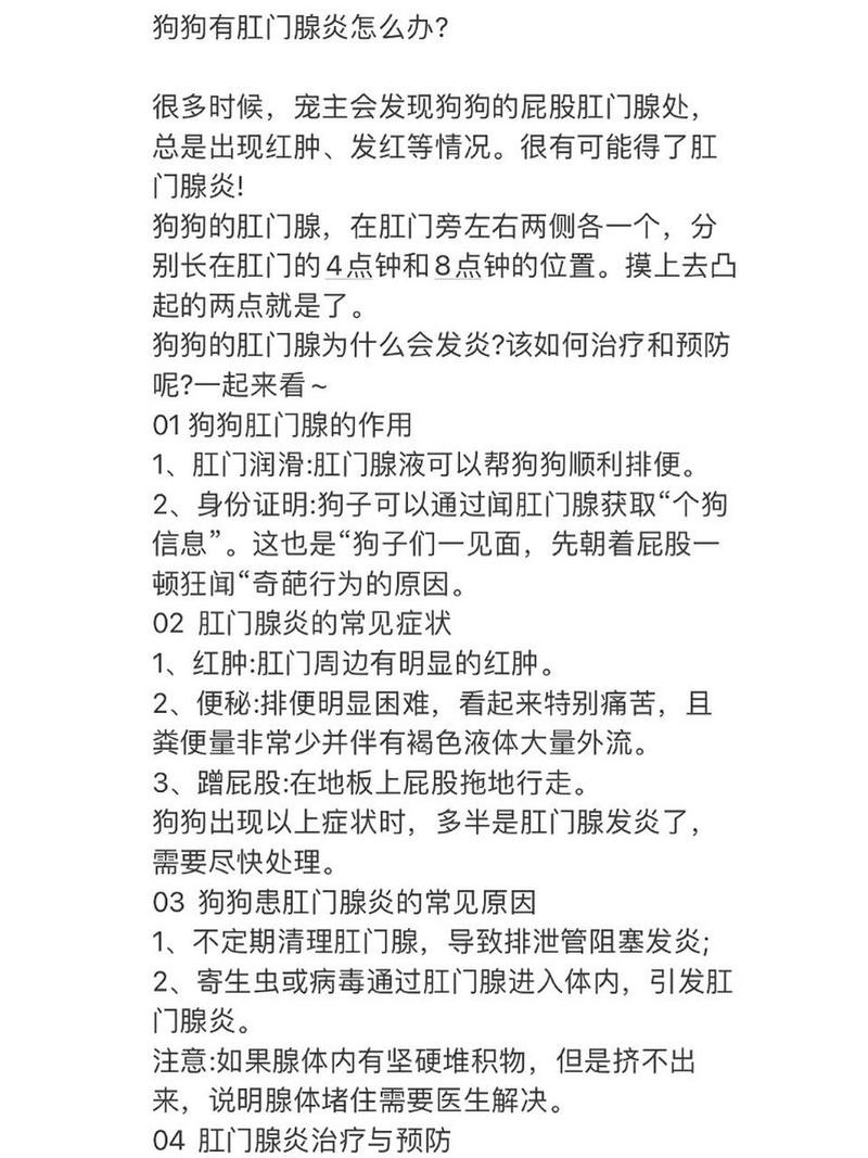 狗狗肛门发炎用什么药_狗狗肛门发炎是怎么回事?-第4张图片-后鲨宠物 狗狗肛门发炎用什么药_狗狗肛门发炎是怎么回事?-第4张图片-后鲨宠物