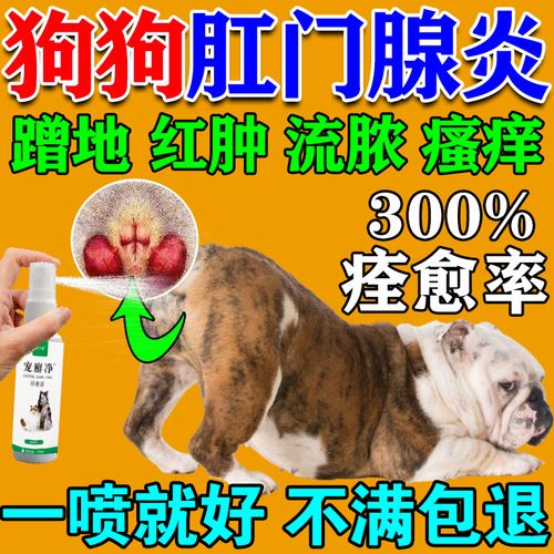 狗狗肛门发炎用什么药_狗狗肛门发炎是怎么回事?-第5张图片-后鲨宠物 狗狗肛门发炎用什么药_狗狗肛门发炎是怎么回事?-第5张图片-后鲨宠物