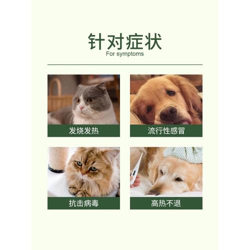 狗狗感冒打什么针，狗狗感冒打什么针水-第3张图片-后鲨宠物