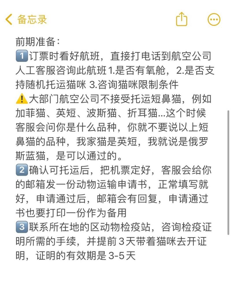 猫咪可以托运吗,坐飞机猫咪可以托运吗-第6张图片-后鲨宠物 猫咪可以托运吗,坐飞机猫咪可以托运吗-第6张图片-后鲨宠物