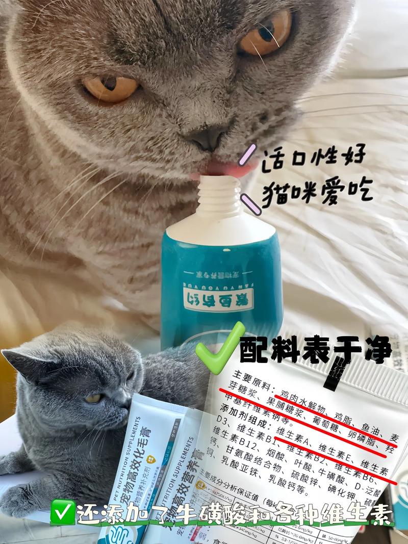 猫咪毛囊炎用什么药,猫咪毛囊炎治疗-第4张图片-后鲨宠物 猫咪毛囊炎用什么药,猫咪毛囊炎治疗-第4张图片-后鲨宠物