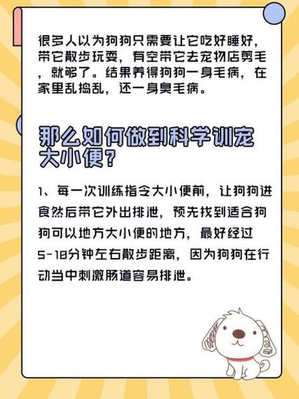 怎么教狗狗出去大小便,怎样教狗狗去外面大小便?-第3张图片-后鲨宠物 怎么教狗狗出去大小便,怎样教狗狗去外面大小便?-第3张图片-后鲨宠物