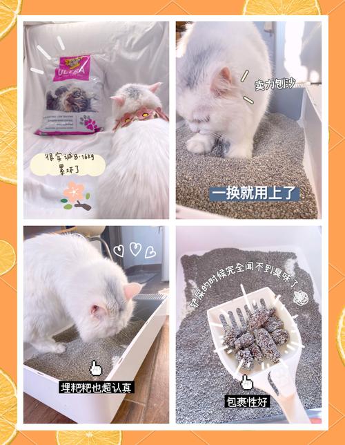 猫咪会用猫砂吗,猫咪会用猫砂还会乱尿么-第1张图片-后鲨宠物 猫咪会用猫砂吗,猫咪会用猫砂还会乱尿么-第1张图片-后鲨宠物