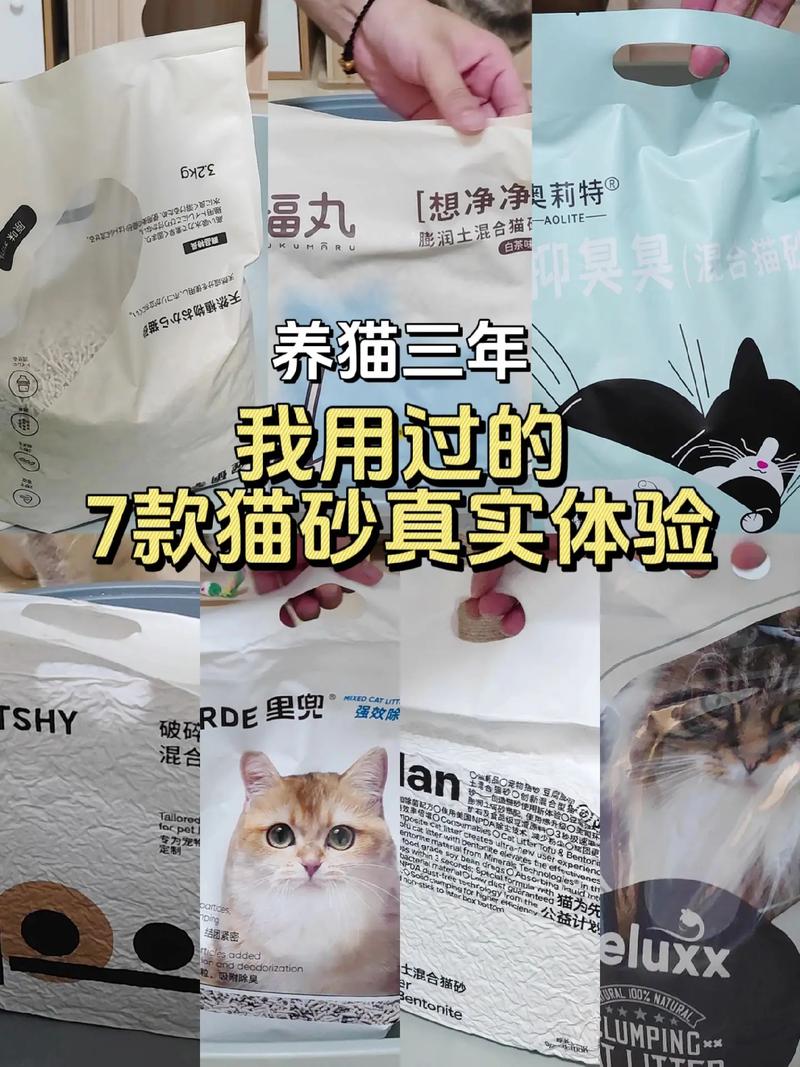 猫咪会用猫砂吗,猫咪会用猫砂还会乱尿么-第2张图片-后鲨宠物 猫咪会用猫砂吗,猫咪会用猫砂还会乱尿么-第2张图片-后鲨宠物