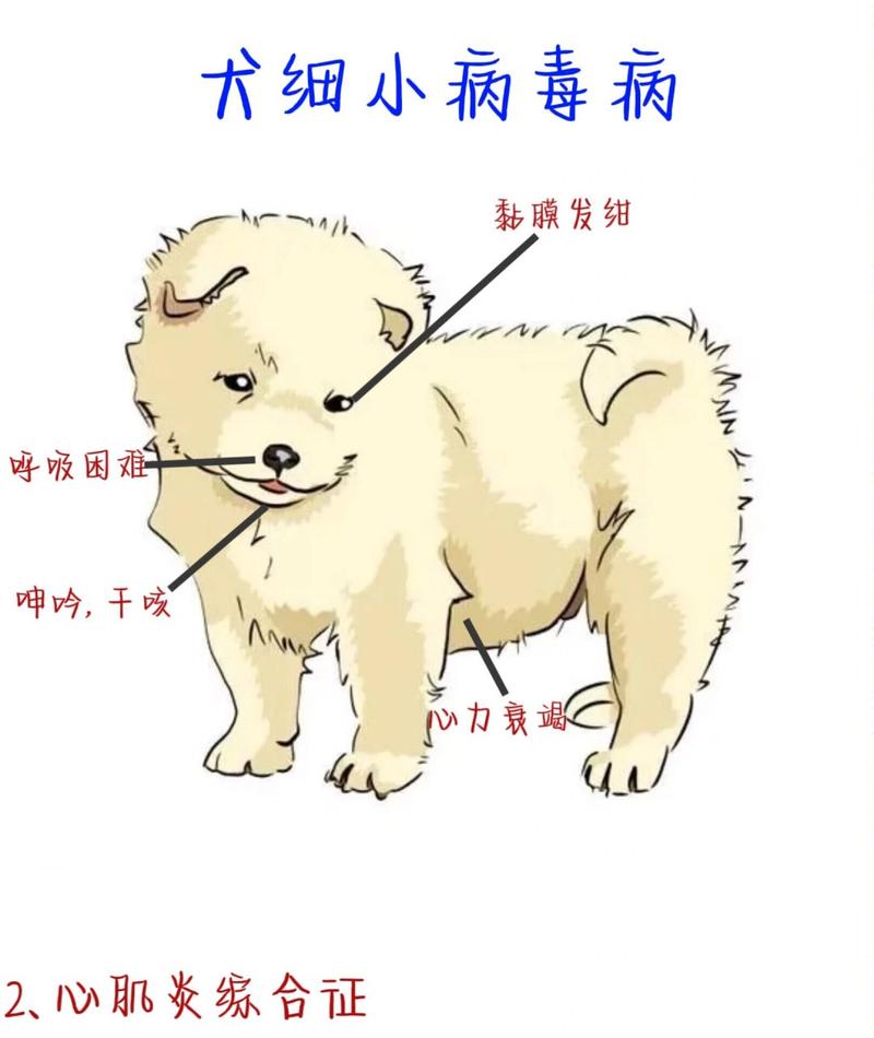 狗狗多大得细小,狗狗几岁得细小?-第1张图片-后鲨宠物 狗狗多大得细小,狗狗几岁得细小?-第1张图片-后鲨宠物