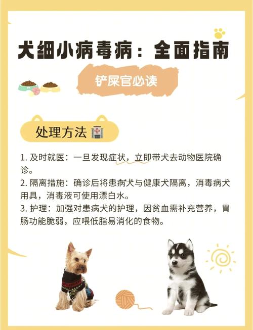 狗狗多大得细小,狗狗几岁得细小?-第2张图片-后鲨宠物 狗狗多大得细小,狗狗几岁得细小?-第2张图片-后鲨宠物