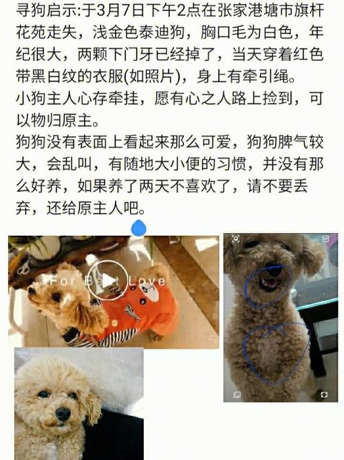 狗狗多大得细小,狗狗几岁得细小?-第5张图片-后鲨宠物 狗狗多大得细小,狗狗几岁得细小?-第5张图片-后鲨宠物