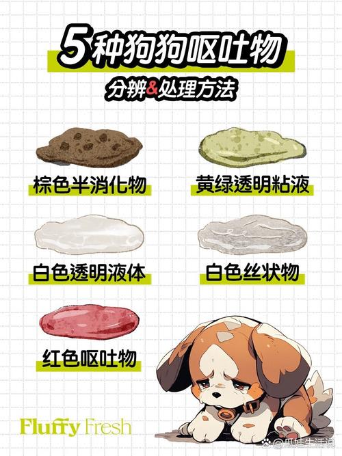 狗狗感冒吐了怎么办,狗感冒了吐了怎么回事-第1张图片-后鲨宠物 狗狗感冒吐了怎么办,狗感冒了吐了怎么回事-第1张图片-后鲨宠物