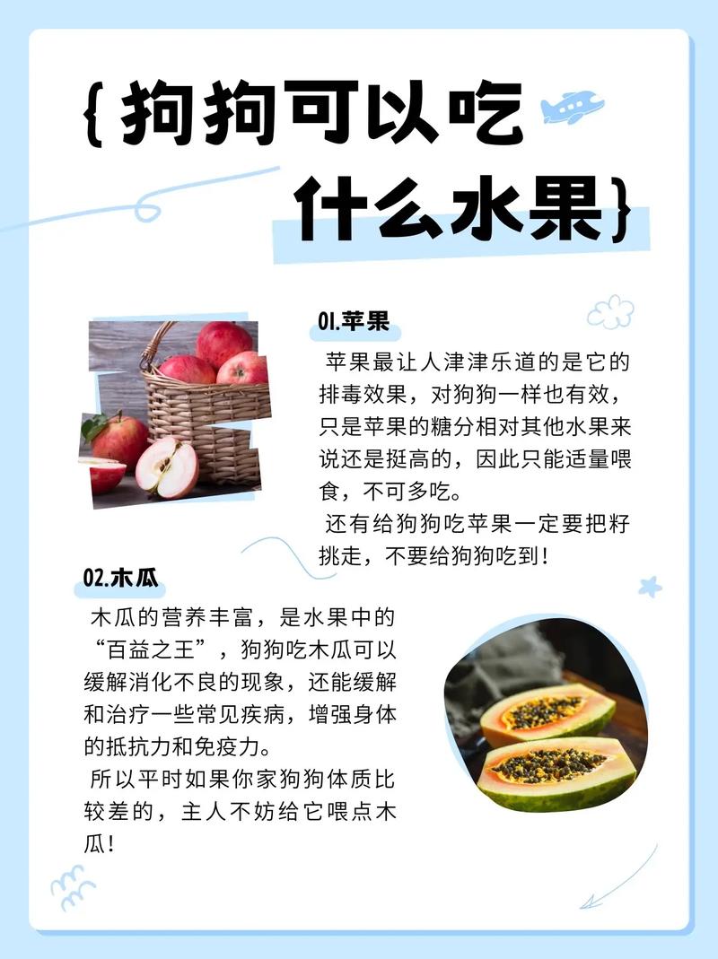 狗狗可以吃那些水果_狗能吃些什么水果-第4张图片-后鲨宠物 狗狗可以吃那些水果_狗能吃些什么水果-第4张图片-后鲨宠物