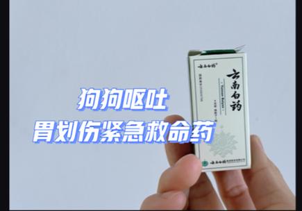 狗狗能用云南白药吗,狗能抹云南白药吗?-第4张图片-后鲨宠物 狗狗能用云南白药吗,狗能抹云南白药吗?-第4张图片-后鲨宠物