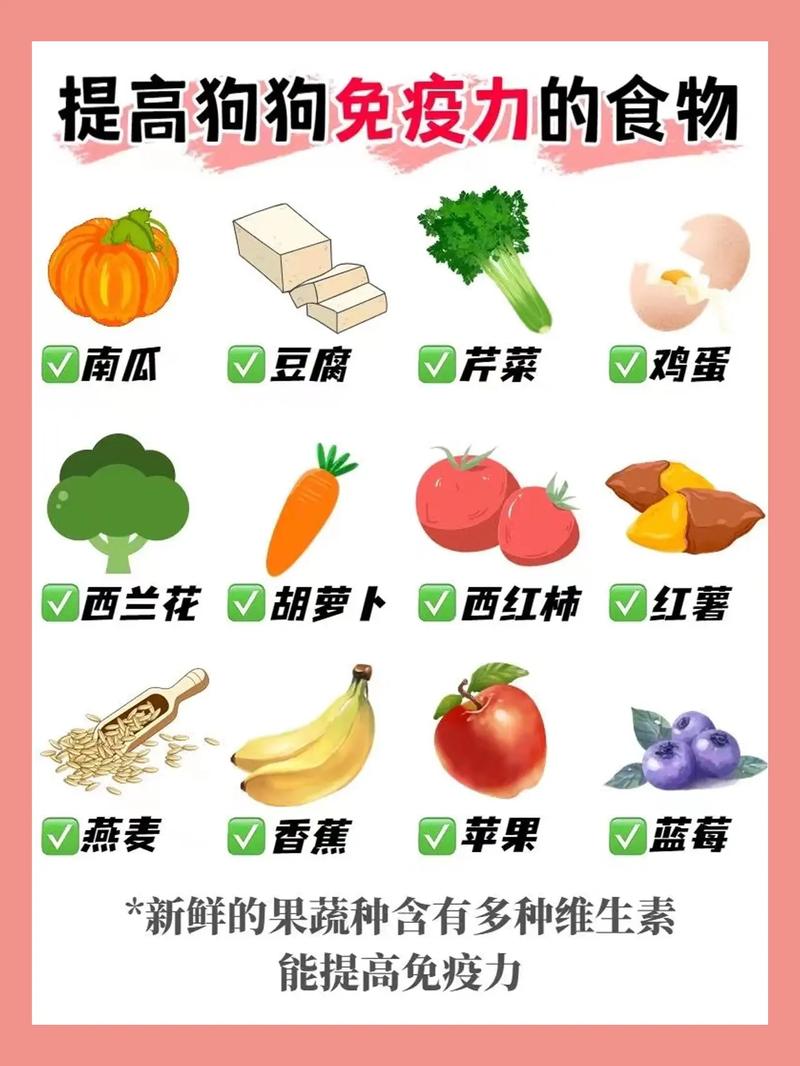 狗狗可以吃糯米吗,狗能吃糯米吗一点点?-第6张图片-后鲨宠物 狗狗可以吃糯米吗,狗能吃糯米吗一点点?-第6张图片-后鲨宠物