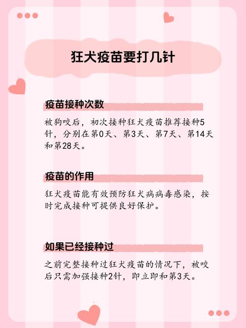 狗狗几个月打狂犬疫苗,狗狗一般几个月打狂犬?-第4张图片-后鲨宠物 狗狗几个月打狂犬疫苗,狗狗一般几个月打狂犬?-第4张图片-后鲨宠物