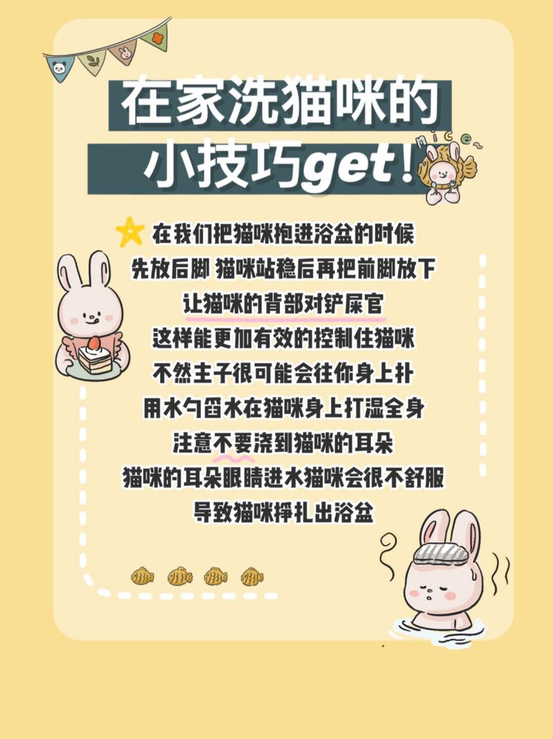 猫猫多久洗一次澡合适,猫猫大概多久洗一次澡-第3张图片-后鲨宠物 猫猫多久洗一次澡合适,猫猫大概多久洗一次澡-第3张图片-后鲨宠物