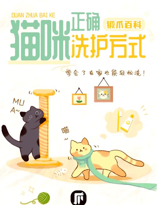 猫猫多久洗一次澡合适,猫猫大概多久洗一次澡-第4张图片-后鲨宠物 猫猫多久洗一次澡合适,猫猫大概多久洗一次澡-第4张图片-后鲨宠物