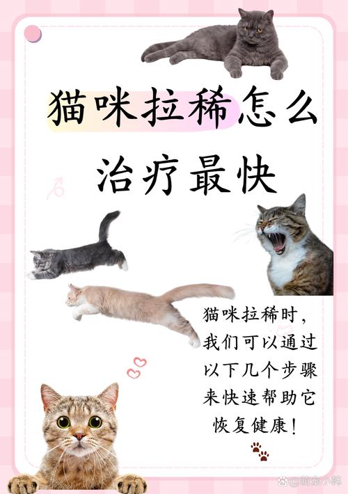 小猫咪拉稀怎么办,猫咪吐拉稀怎么回事?-第5张图片-后鲨宠物 小猫咪拉稀怎么办,猫咪吐拉稀怎么回事?-第5张图片-后鲨宠物