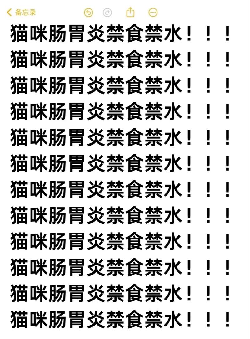 猫咪呕吐后要禁食多久,猫咪呕吐后禁食多久可以吃东西?-第1张图片-后鲨宠物 猫咪呕吐后要禁食多久,猫咪呕吐后禁食多久可以吃东西?-第1张图片-后鲨宠物