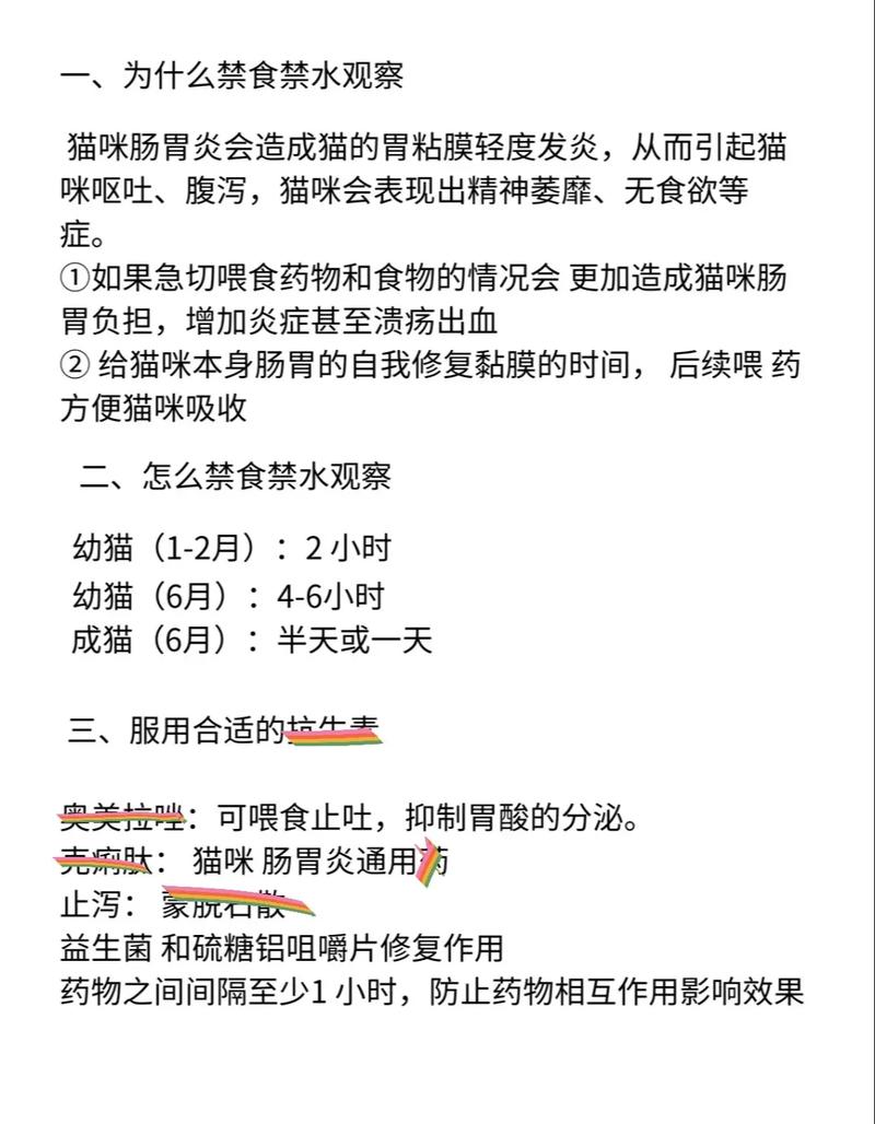 猫咪呕吐后要禁食多久,猫咪呕吐后禁食多久可以吃东西?-第2张图片-后鲨宠物 猫咪呕吐后要禁食多久,猫咪呕吐后禁食多久可以吃东西?-第2张图片-后鲨宠物