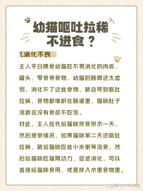 猫咪呕吐后要禁食多久,猫咪呕吐后禁食多久可以吃东西?-第3张图片-后鲨宠物 猫咪呕吐后要禁食多久,猫咪呕吐后禁食多久可以吃东西?-第3张图片-后鲨宠物