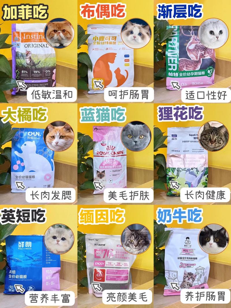 喂猫咪吃什么食物_喂猫应该喂什么-第2张图片-后鲨宠物 喂猫咪吃什么食物_喂猫应该喂什么-第2张图片-后鲨宠物