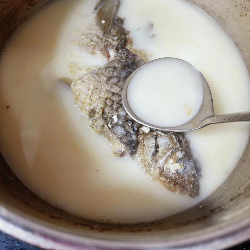 狗狗可以喝鱼汤吗,狗狗能喝鱼汤吗?-第4张图片-后鲨宠物 狗狗可以喝鱼汤吗,狗狗能喝鱼汤吗?-第4张图片-后鲨宠物