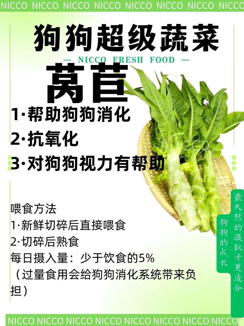 狗狗能吃莴笋吗,狗狗能吃莴笋吗熟的?-第5张图片-后鲨宠物 狗狗能吃莴笋吗,狗狗能吃莴笋吗熟的?-第5张图片-后鲨宠物