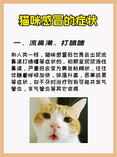 猫猫感冒症状,猫咪感冒了什么症状-第2张图片-后鲨宠物 猫猫感冒症状,猫咪感冒了什么症状-第2张图片-后鲨宠物