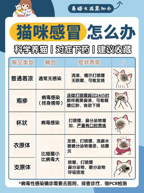 猫猫感冒症状,猫咪感冒了什么症状-第4张图片-后鲨宠物 猫猫感冒症状,猫咪感冒了什么症状-第4张图片-后鲨宠物