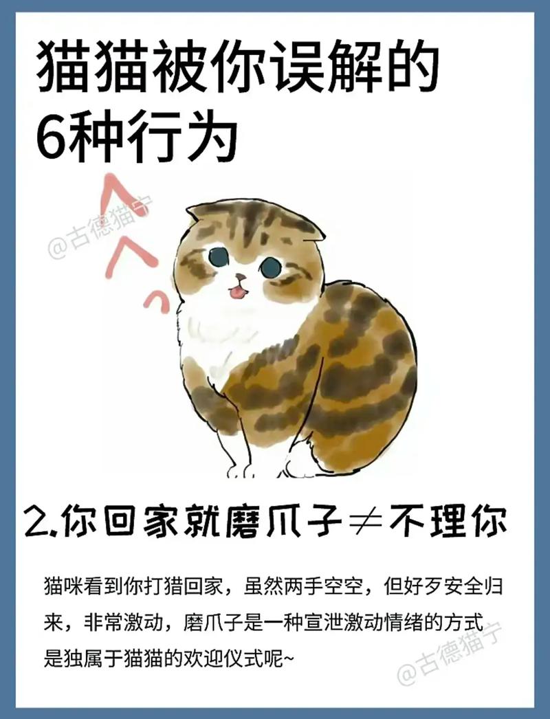 猫咪为什么喜欢舔自己,猫咪为什么喜欢舔自己的尾巴?-第1张图片-后鲨宠物 猫咪为什么喜欢舔自己,猫咪为什么喜欢舔自己的尾巴?-第1张图片-后鲨宠物