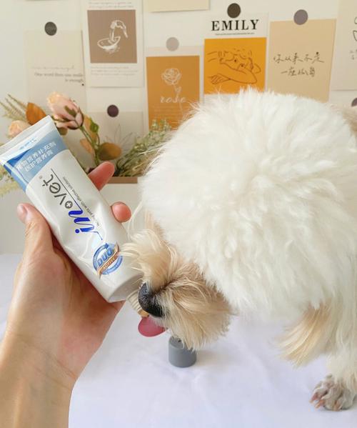 狗狗吃营养膏有用吗_狗狗吃营养膏的禁忌-第5张图片-后鲨宠物 狗狗吃营养膏有用吗_狗狗吃营养膏的禁忌-第5张图片-后鲨宠物