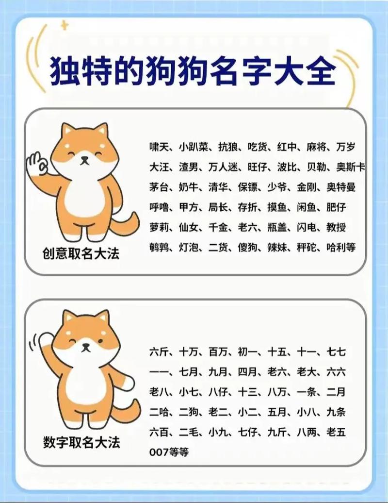 狗狗取名带运气_狗狗取名带运气福娃好吗-第4张图片-后鲨宠物 狗狗取名带运气_狗狗取名带运气福娃好吗-第4张图片-后鲨宠物