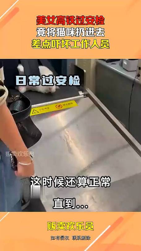  猫咪可以过安检吗，猫咪能过安检的x光吗-第4张图片-后鲨宠物
