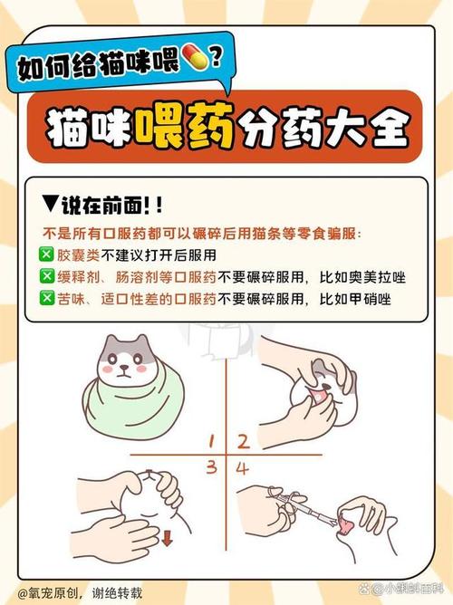 猫咪可以喝葡萄糖吗，猫咪能喝葡萄糖粉吗？-第2张图片-后鲨宠物