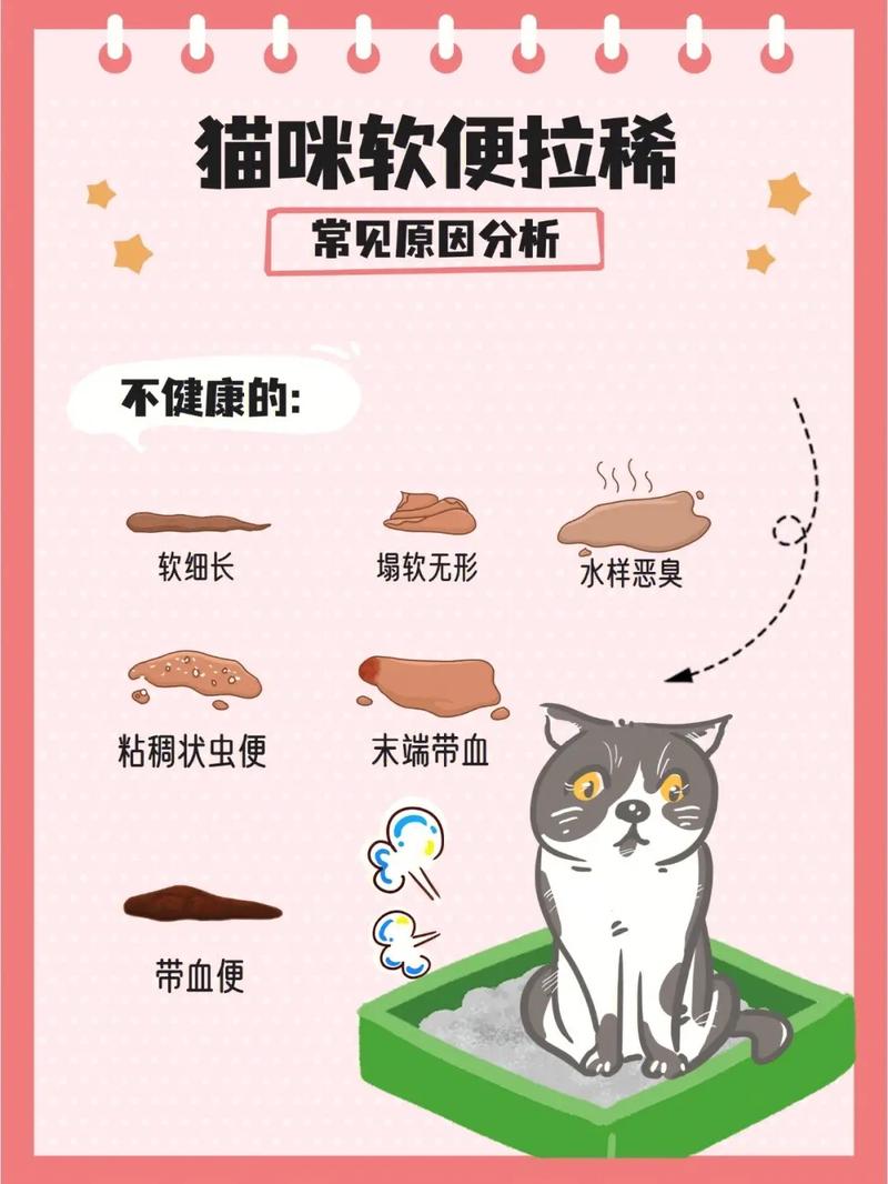猫咪拉肚子原因,猫咪拉肚子怎么回事儿?-第4张图片-后鲨宠物 猫咪拉肚子原因,猫咪拉肚子怎么回事儿?-第4张图片-后鲨宠物