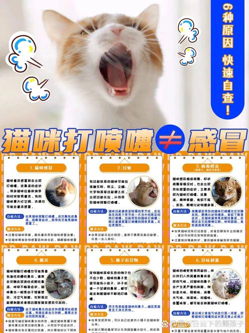 猫咪打喷嚏拉稀_猫咪打喷嚏拉稀是感冒了吗-第4张图片-后鲨宠物 猫咪打喷嚏拉稀_猫咪打喷嚏拉稀是感冒了吗-第4张图片-后鲨宠物