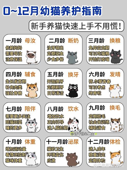 猫咪有叛逆期吗_猫咪是否有叛逆期-第4张图片-后鲨宠物 猫咪有叛逆期吗_猫咪是否有叛逆期-第4张图片-后鲨宠物