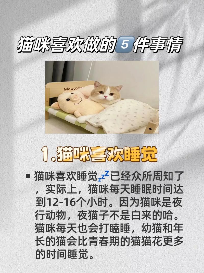 猫咪有叛逆期吗_猫咪是否有叛逆期-第5张图片-后鲨宠物 猫咪有叛逆期吗_猫咪是否有叛逆期-第5张图片-后鲨宠物
