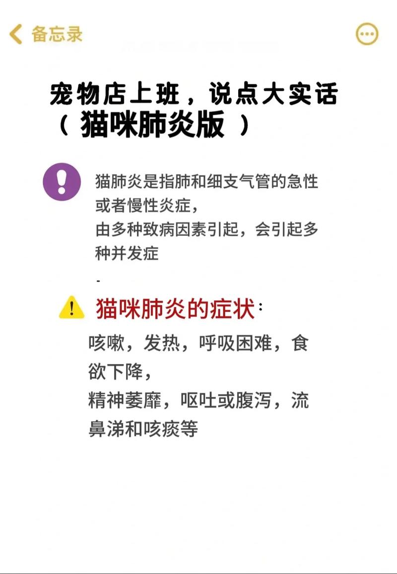 猫咪鼻子不通气,猫咪鼻子不通气总打涕喷10多天了-第2张图片-后鲨宠物 猫咪鼻子不通气,猫咪鼻子不通气总打涕喷10多天了-第2张图片-后鲨宠物