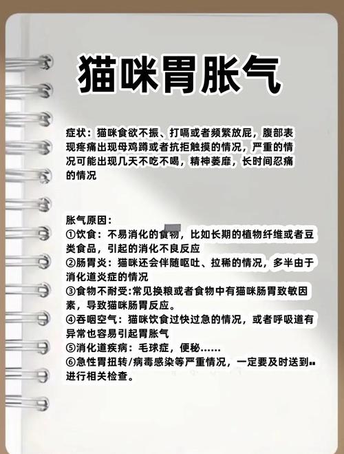 猫咪肚子胀气怎么办_猫咪肚子胀气怎么办?-第1张图片-后鲨宠物 猫咪肚子胀气怎么办_猫咪肚子胀气怎么办?-第1张图片-后鲨宠物