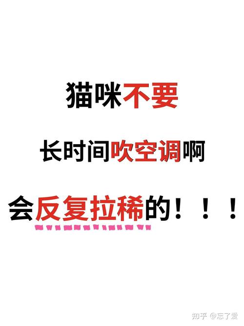 猫咪吹空调拉肚子,猫咪夏天吹空调拉肚子?-第4张图片-后鲨宠物 猫咪吹空调拉肚子,猫咪夏天吹空调拉肚子?-第4张图片-后鲨宠物