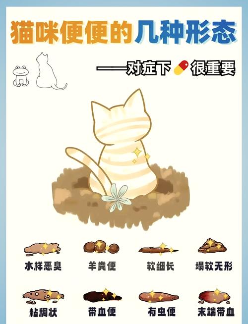 猫咪吹空调拉肚子,猫咪夏天吹空调拉肚子?-第5张图片-后鲨宠物 猫咪吹空调拉肚子,猫咪夏天吹空调拉肚子?-第5张图片-后鲨宠物