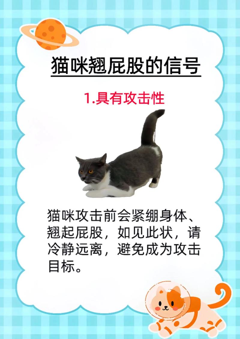 猫咪怀孕后还会发情吗,猫咪怀孕后还会发情吗-第4张图片-后鲨宠物 猫咪怀孕后还会发情吗,猫咪怀孕后还会发情吗-第4张图片-后鲨宠物