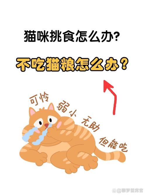 猫猫不吃猫粮_猫猫不吃猫粮是怎么了-第2张图片-后鲨宠物 猫猫不吃猫粮_猫猫不吃猫粮是怎么了-第2张图片-后鲨宠物