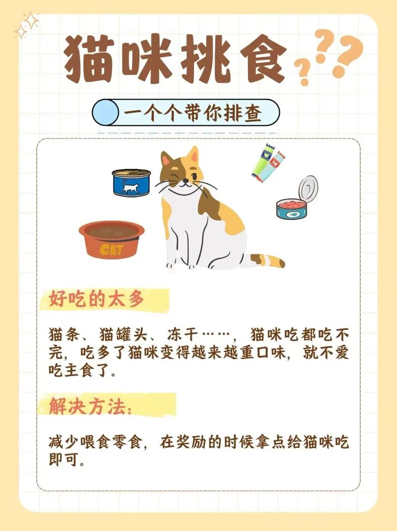 猫猫不吃猫粮_猫猫不吃猫粮是怎么了-第3张图片-后鲨宠物 猫猫不吃猫粮_猫猫不吃猫粮是怎么了-第3张图片-后鲨宠物
