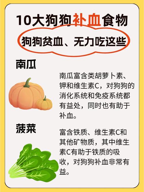 狗狗吃什么补血,狗狗吃什么补血护肝-第5张图片-后鲨宠物 狗狗吃什么补血,狗狗吃什么补血护肝-第5张图片-后鲨宠物