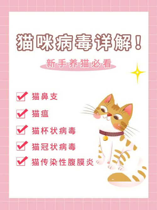 猫咪冠状病毒怎么治疗_2个月小猫得了冠状怎么治疗-第2张图片-后鲨宠物 猫咪冠状病毒怎么治疗_2个月小猫得了冠状怎么治疗-第2张图片-后鲨宠物