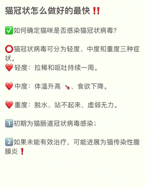 猫咪冠状病毒怎么治疗_2个月小猫得了冠状怎么治疗-第3张图片-后鲨宠物 猫咪冠状病毒怎么治疗_2个月小猫得了冠状怎么治疗-第3张图片-后鲨宠物