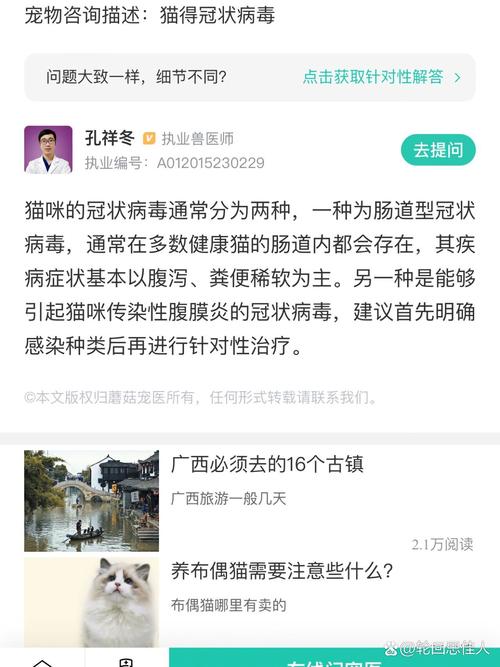 猫咪冠状病毒怎么治疗_2个月小猫得了冠状怎么治疗-第6张图片-后鲨宠物 猫咪冠状病毒怎么治疗_2个月小猫得了冠状怎么治疗-第6张图片-后鲨宠物